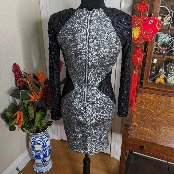 Moving Sale! 💘 Dress the Population kim sequin dress - Picture 6 of 7